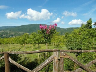 Maison de vacances Monterchi  40