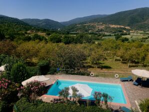 Holiday house Großräumiges Ferienhaus mit Swimmingpool in Le Ville - Monterchi - image1