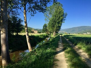 Ferienhaus Monterchi Umgebung 32