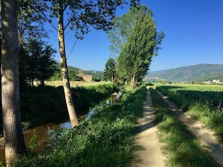 Maison de vacances Monterchi Environnement 34