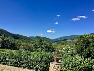 Ferienhaus Monterchi Umgebung 31