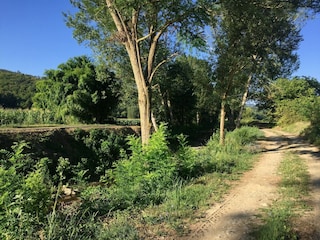 Maison de vacances Monterchi Environnement 32