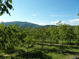 Holiday house Monterchi Environment 32