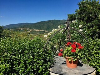 Ferienhaus Monterchi Außenaufnahme 9