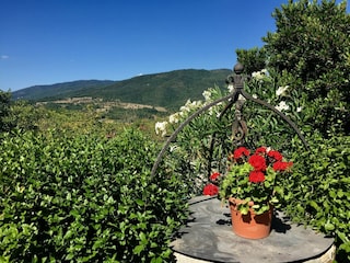 Holiday house Monterchi Outdoor Recording 11