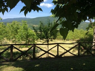Ferienhaus Monterchi Umgebung 34