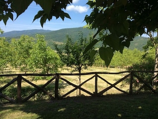 Holiday house Monterchi Environment 35