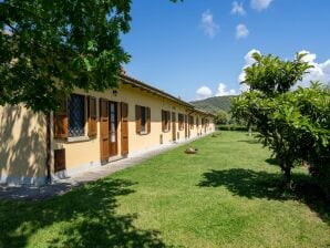 Ferme Maison de vacances pittoresque avec piscine - Tuoro sul Trasimène - image1