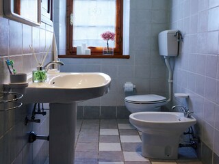 Type de propriété : Ferme Cortona Équipement 14