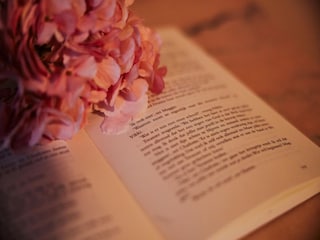 Bauernhof Cortona  40