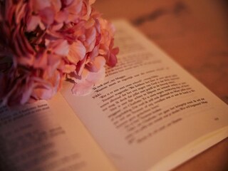 Fattoria Cortona  40