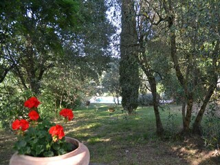 Cottage Castiglion Fiorentino Außenaufnahme 14