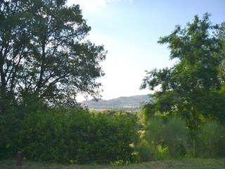 Cottage Castiglion Fiorentino Außenaufnahme 8