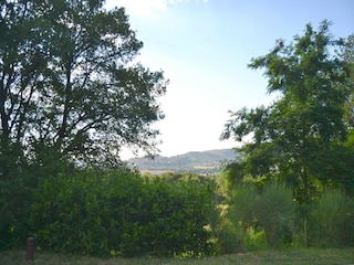 Maison de vacances Castiglion Fiorentino Enregistrement extérieur 7