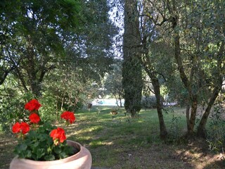 Holiday cottage Castiglion Fiorentino Outdoor Recording 5