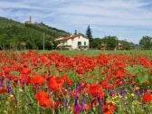 Bauernhof Castiglion Fiorentino Außenaufnahme 1