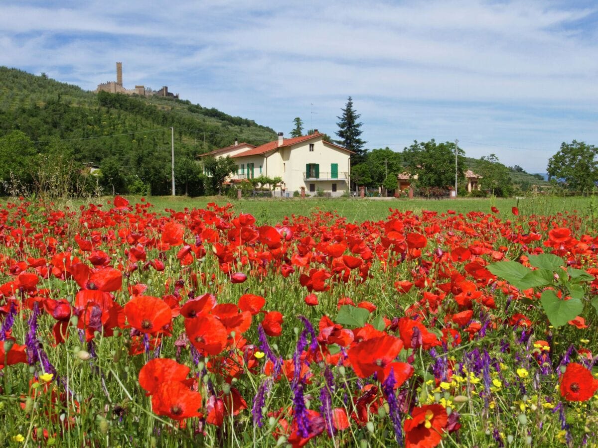 Bauernhof Castiglion Fiorentino Außenaufnahme 1