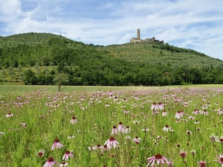 Casa per le vacanze Castiglion Fiorentino Ambiente 32