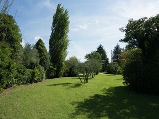 Ferienhaus Cortona Außenaufnahme 4