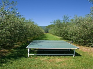 Holiday house Cortona  37