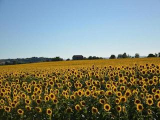 Vakantiehuis Cortona Omgeving 23