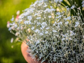 Casa per le vacanze Cortona Ambiente 26