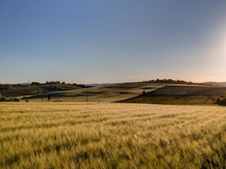 Vakantiehuis Cortona Omgeving 26