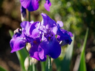 Holiday house Cortona Environment 34