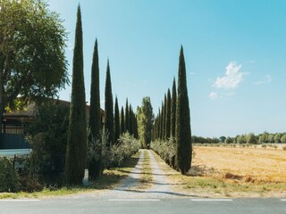 Casa de vacaciones Cortona Grabación al aire libre 6