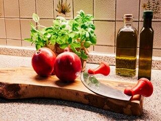 Holiday house Cortona  49