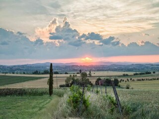 Casa de vacaciones Cortona Entorno 23