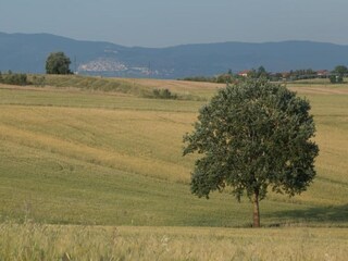 Casa de vacaciones Cortona Entorno 32