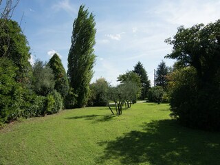 Holiday house Cortona Outdoor Recording 7