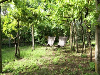 Holiday house Cortona  40