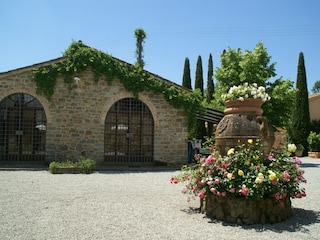 Ferienhaus Cortona Außenaufnahme 5