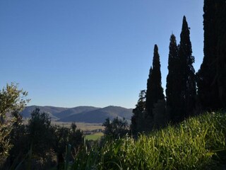Holiday house Cortona Environment 27