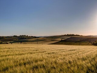 Holiday house Cortona Environment 30