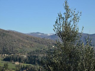 Holiday house Cortona Environment 34