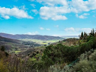 Holiday house Cortona Environment 21