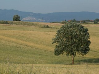 Casa per le vacanze Cortona Ambiente 31