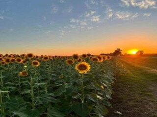 Type de propriété : Chalet Valiano Environnement 34
