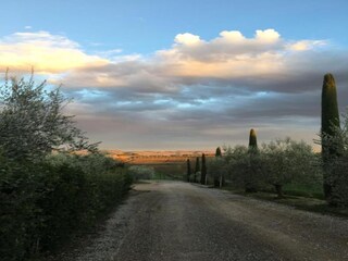 Casa de campo Valiano Entorno 28