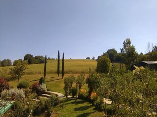 Casa de campo Valiano Entorno 37