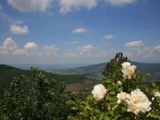 Casa de campo Valiano Entorno 23