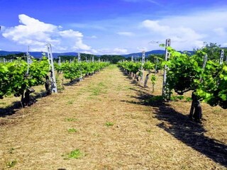 Casale Valiano Ambiente 39