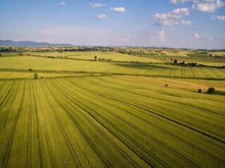 Type de propriété : Ferme Tuoro sul Trasimeno Environnement 39