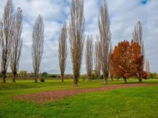 Maison de vacances Foiano della Chiana Environnement 34
