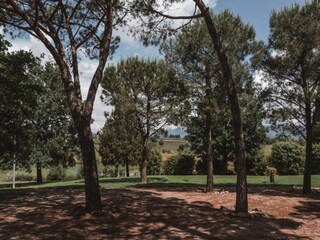 Maison de vacances Foiano della Chiana Environnement 17