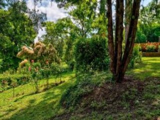 Maison de vacances Foiano della Chiana Environnement 18