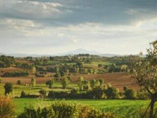 Casa per le vacanze Foiano della Chiana Ambiente 24